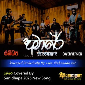 Cover Art – Dumare Covered By Sanidhapa 2025 New Song.mp3