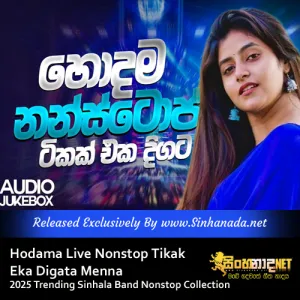 Cover Art – Hodama Live Nonstop Tikak Eka Digata Menna 2025 Trending Sinhala Band Nonstop Collection.mp3