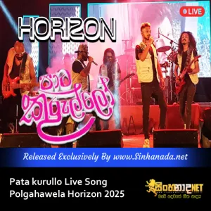 Cover Art – Pata kurullo Live Song Polgahawela Horizon 2025.mp3