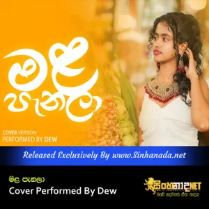 Cover Art – Mala Panala Cover Performed By Dew.mp3