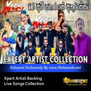 Cover Art – Xpert Artist Backing Live Songs Collection.mp3