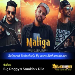 Cover Art – Maliga - Big Doggy x Smokio x Dilo.mp3