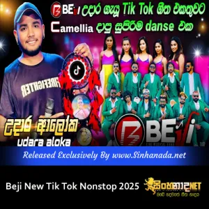 Cover Art – Beji New Tik Tok Nonstop 2025.mp3
