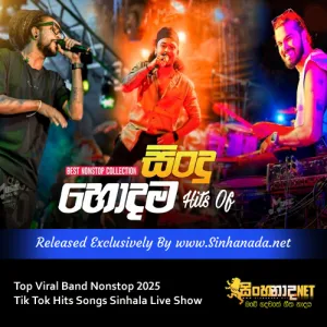 Cover Art – Top Viral Band Nonstop 2025 Tik Tok Hits Songs Sinhala Live Show.mp3