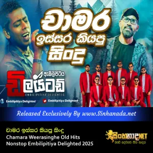 Cover Art – Chamara Weerasinghe Old Hits Nonstop Embilipitiya Delighted 2025.mp3