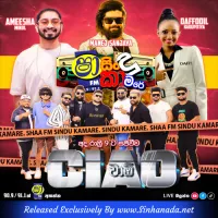 Cover Art – 19.DANAPALA UDAWATTHA NONSTOP - CIAO.mp3