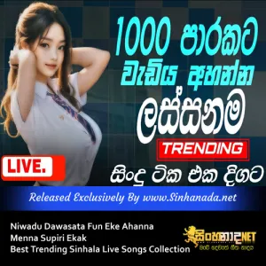 Cover Art – Niwadu Dawasata Fun Eke Ahanna Menna Supiri Ekak Best Trending Sinhala Live Songs Collection.mp3