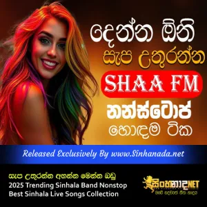 Cover Art – Sapa Uthuranna Ahanna 2025 Trending Sinhala Band Nonstop Best Sinhala Live Songs Collection.mp3