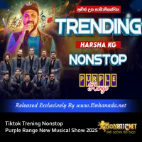 Cover Art – Tiktok Trening Nonstop Purple Range New Musical Show 2025.mp3