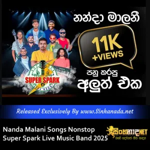 Cover Art – Nanda Malani Songs Nonstop Super Spark Live Music Band 2025.mp3