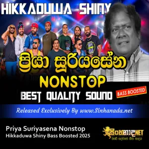 Cover Art – Priya Suriyasena Nonstop Hikkaduwa Shiny Bass Boosted 2025.mp3