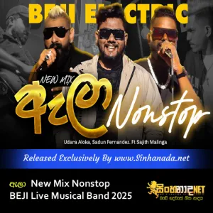 Cover Art – New Mix Pathale Ala Nonstop BEJI Live Musical Band 2025.mp3