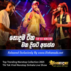 Cover Art – Top Trending Nonstop Songs Collection 2025 Tik Tok Viral Sinhala Live Show.mp3