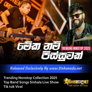 Cover Art – Trending Nonstop Collection 2025 Top Band Songs Sinhala Live Show Tik tok Viral.mp3