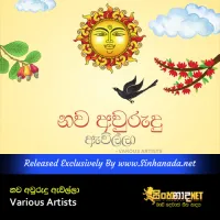 Cover Art – Nawa Aurudu Awilla - Various Artists.mp3