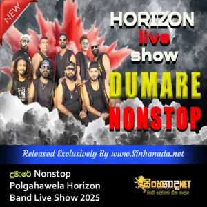 Cover Art – Dumare Nonstop Polgahawela Horizon Band Live Show 2025.mp3