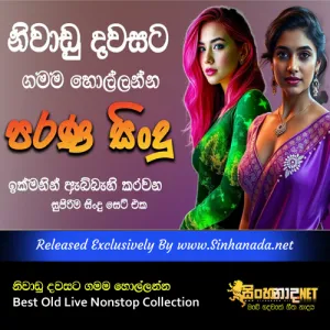 Cover Art – Niwadu Dawasata Gamama Hollanna Best Old Live Nonstop Collection.mp3