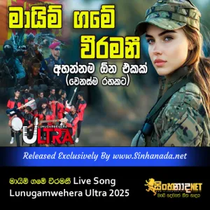 Cover Art – Maim Game Weeramani Live Song Lunugamwehera Ultra 2025.mp3