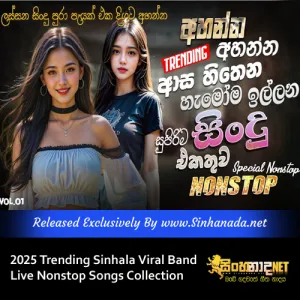 Cover Art – 2025 Trending Sinhala Viral Band Live Nonstop Songs Collection.mp3