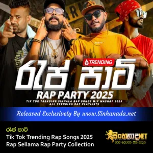 Cover Art – Tik Tok Trending Rap Songs 2025 Rap Sellama Rap Party Collection.mp3