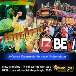 Cover Art – New Trending Tik Tok Songs Nonstop BEJI Udara Aloka Sd Mega Night 2025.mp3