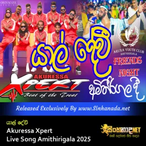 Cover Art – Yal Devi - Akuressa Xpert Live Song Amithirigala 2025.mp3