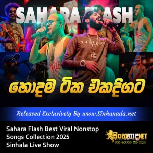 Cover Art – Sahara Flash Best Viral Nonstop Songs Collection 2025 Sinhala Live Show.mp3