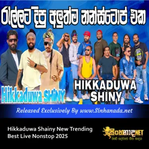 Cover Art – Hikkaduwa Shainy New Trending Best Live Nonstop 2025.mp3