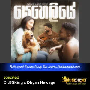 Cover Art – Yeheliye -  Dr.BSKing x Dhyan Hewage.mp3