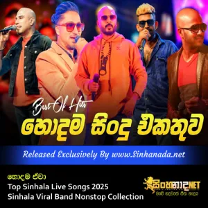 Cover Art – Hodama Tikak Top Sinhala Live Songs 2025 Sinhala Viral Band Nonstop Collection.mp3