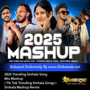 Cover Art – 2025 Trending Sinhala Song Mix Mashup ( Tik Tok Trending Sinhala Songs ) Sinhala Mashup Remix.mp3