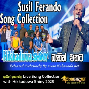 Cover Art – Susil Ferando Live Song Collection with Hikkaduwa Shiny 2025.mp3