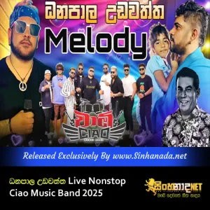 Cover Art – Danapala Udawaththa Live Nonstop Ciao Music Band 2025.mp3