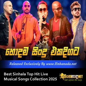 Cover Art – Best Sinhala Top Hit Live Musical Songs Collection 2025.mp3