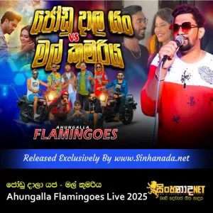 Cover Art – Jodu Dala Yan & Mal kumariya Ahungalla Flamingoes Live 2025.mp3