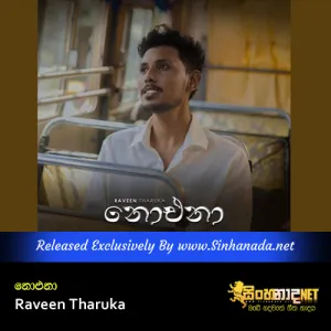 Cover Art – Noena - Raveen Tharuka.mp3