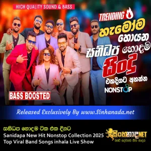 Cover Art – Sanidapa New Hit Nonstop Collection 2025 Top Viral Band Songs inhala Live Show.mp3