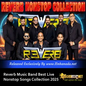 Cover Art – Reverb Music Band Best Live Nonstop Songs Collection 2025.mp3