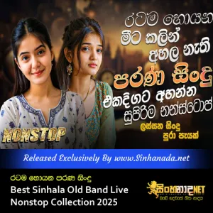 Cover Art – Ratama Hoyana Parana Sindu Best Sinhala Old Band Live Nonstop Collection 2025.mp3