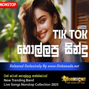Cover Art – Tik Tok Hollapu New Trending Band Live Songs Nonstop Collection 2025.mp3