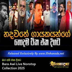 Cover Art – Bara Awi Live Nonstop Collection 2025 Hodama Tika Eka Pokurata Ahanna.mp3