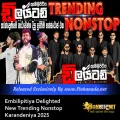 Cover Art – Embilipitiya Delighted New Trending Nonstop Karandeniya 2025.mp3