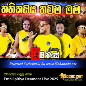 Cover Art – Pivithuruya Palamu Pema - Embilipitiya Deamons Live 2025.mp3
