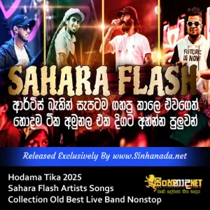 Cover Art – Hodama Tika 2025 Sahara Flash Artists Songs Collection Old Best Live Band Nonstop.mp3