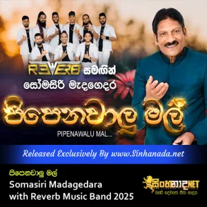 Cover Art – Pipenawalu Mal Somasiri Madagedara with Reverb Music Band 2025.mp3