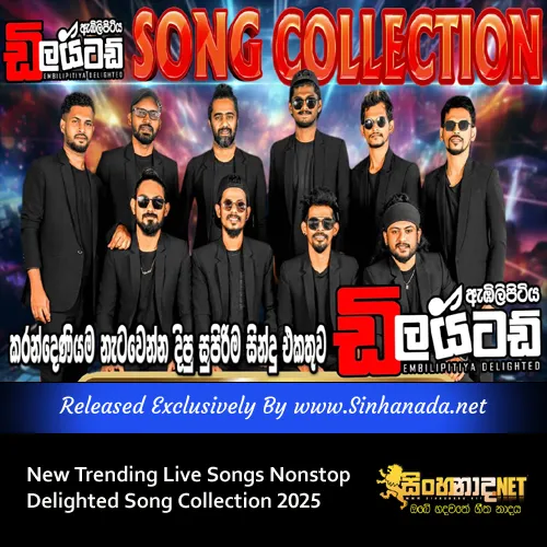 Cover Art – New Trending Live Songs Nonstop Delighted Song Collection 2025.mp3