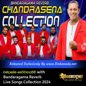 Chadrasena Hettiarachchi with Bandaragama Reverb Live Songs Collection 2024.mp3