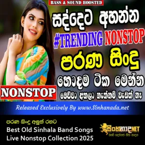 Cover Art – Parana Sindu Aluth Rahata Best Old Sinhala Band Songs Live Nonstop Collection 2025.mp3