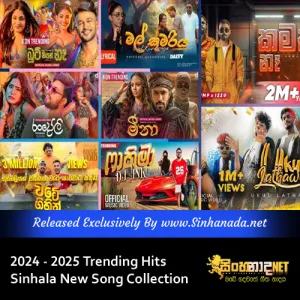 Cover Art – 2024 - 2025 Trending Hits Sinhala New Song Collection.mp3