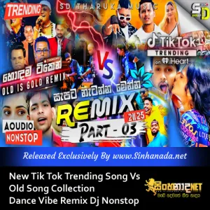 Cover Art – New Tik Tok Trending Song Vs Old Song Collection Dance Vibe Remix Dj Nonstop.mp3